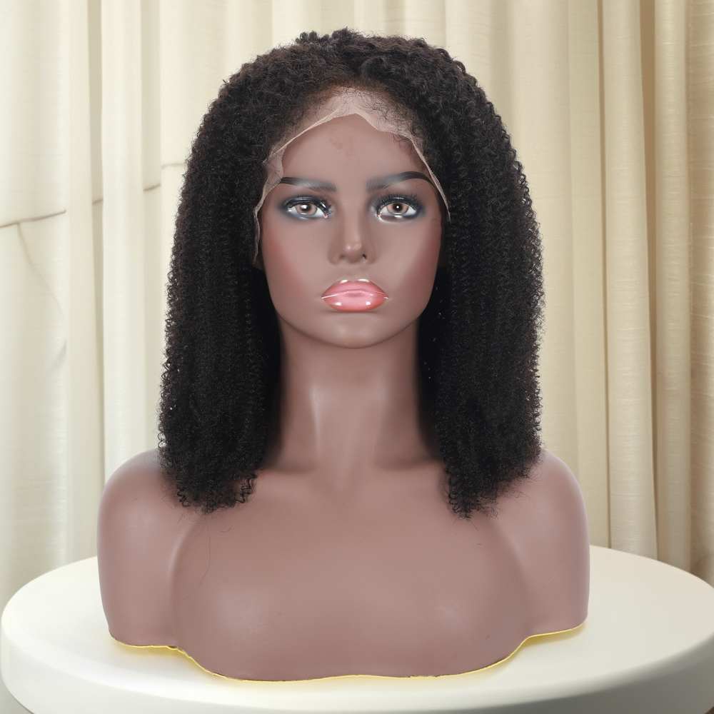 Shawna Afro Kinky Lace Front Wig