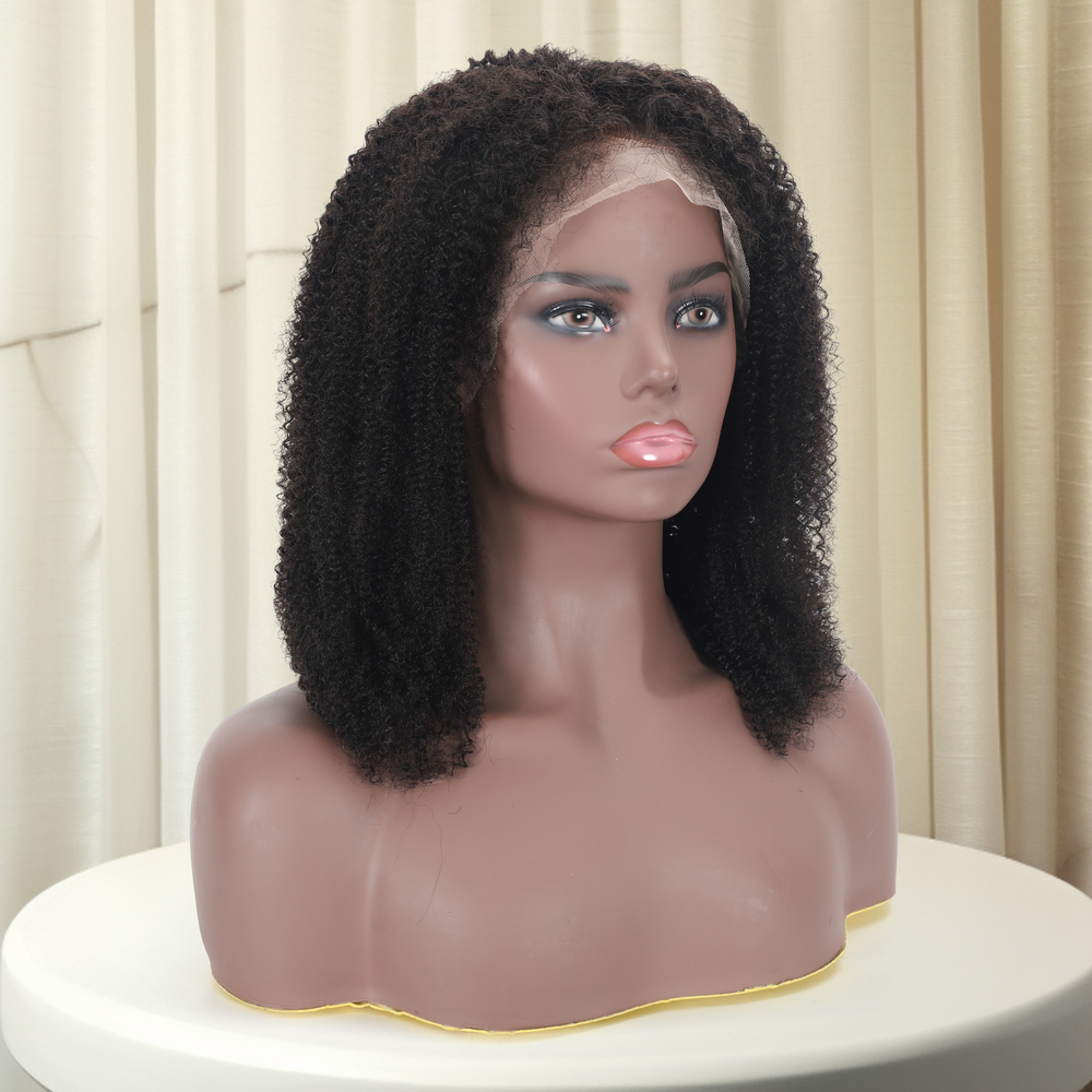 Shawna Afro Kinky Lace Front Wig